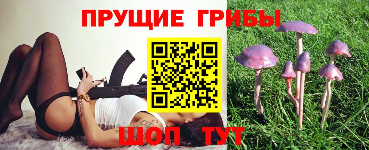 Псилоцибиновые грибы MAGIC MUSHROOMS Елизово