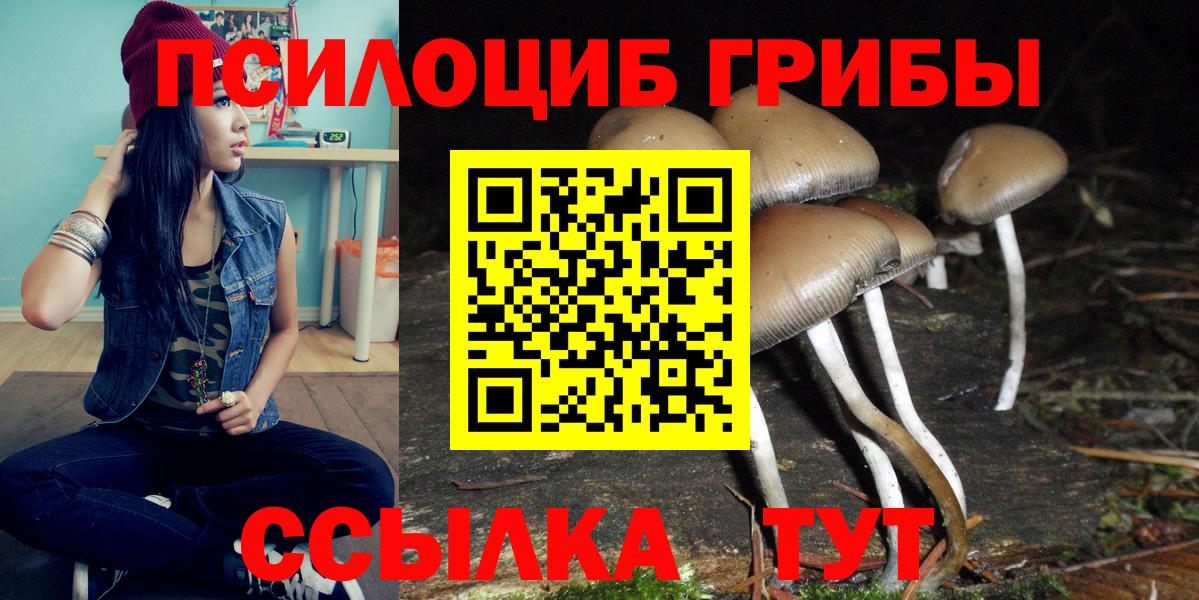 Галлюциногенные грибы Cubensis  Вход с VPN  Елизово  Псилоцибиновые грибы ЛСД 